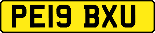 PE19BXU
