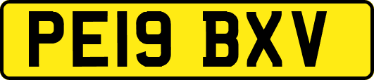 PE19BXV