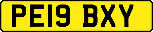 PE19BXY