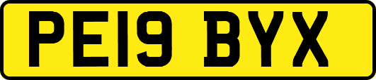 PE19BYX