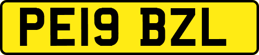 PE19BZL