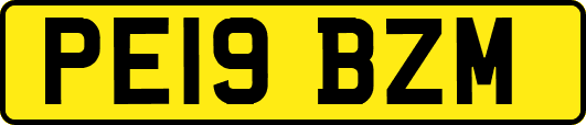 PE19BZM