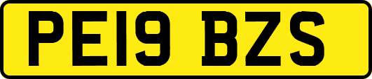 PE19BZS