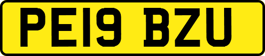 PE19BZU