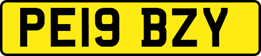 PE19BZY