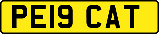 PE19CAT