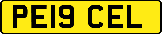 PE19CEL