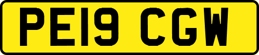 PE19CGW