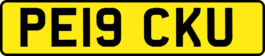 PE19CKU