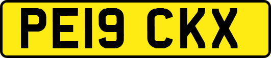 PE19CKX