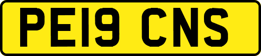 PE19CNS