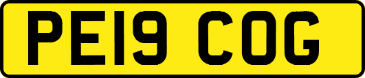 PE19COG