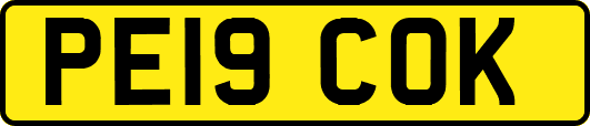 PE19COK