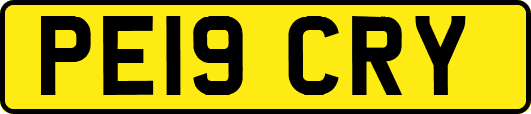 PE19CRY