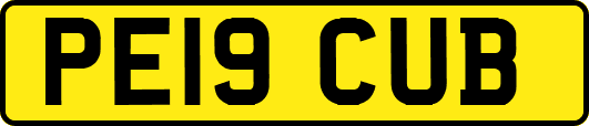PE19CUB