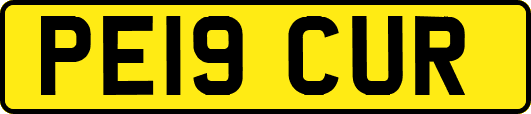 PE19CUR