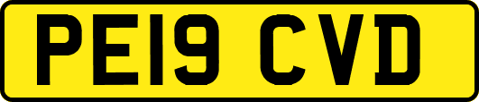 PE19CVD