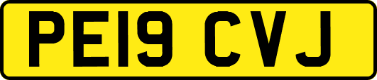 PE19CVJ