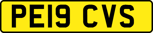 PE19CVS