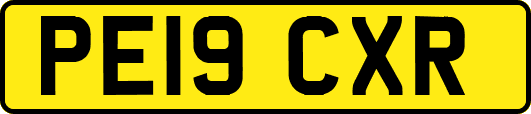 PE19CXR