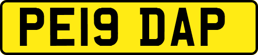 PE19DAP