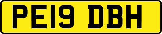 PE19DBH