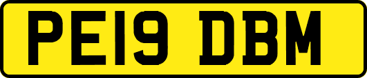 PE19DBM