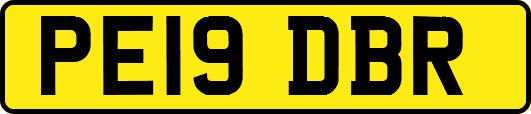 PE19DBR
