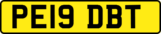 PE19DBT