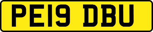 PE19DBU