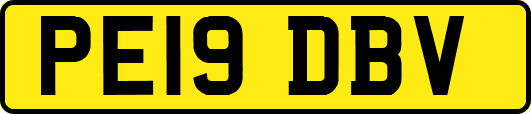 PE19DBV