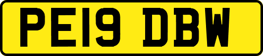 PE19DBW