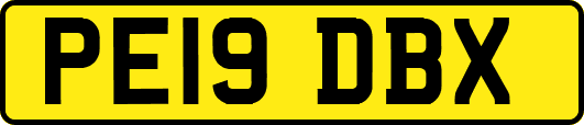 PE19DBX