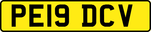 PE19DCV