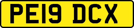 PE19DCX