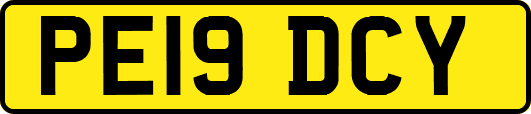 PE19DCY