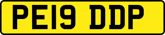 PE19DDP