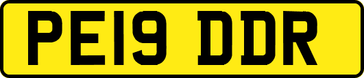 PE19DDR