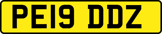 PE19DDZ