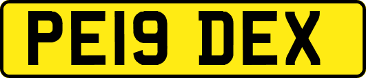 PE19DEX