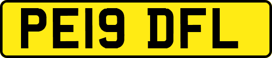 PE19DFL
