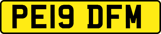 PE19DFM
