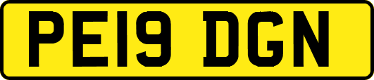 PE19DGN