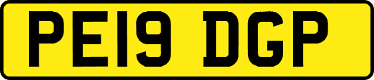 PE19DGP