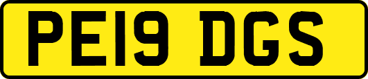 PE19DGS