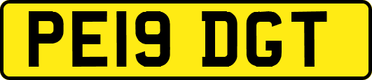 PE19DGT