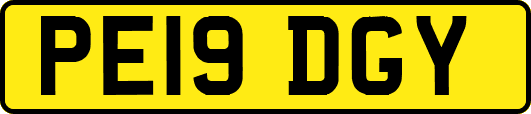 PE19DGY