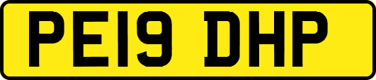 PE19DHP