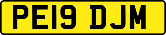 PE19DJM