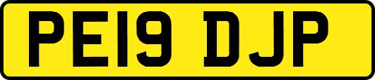 PE19DJP